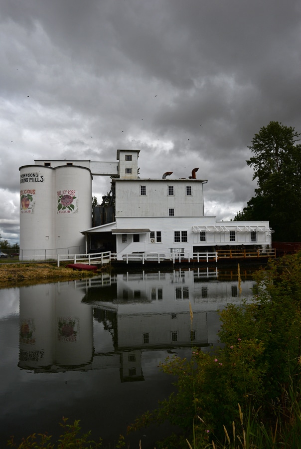 Read more about the article Field Trip: Thompson’s Mills 2019