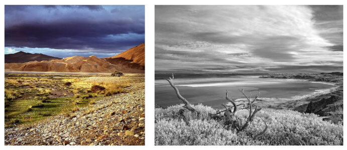 Rich shows desert landscapes in Eugene