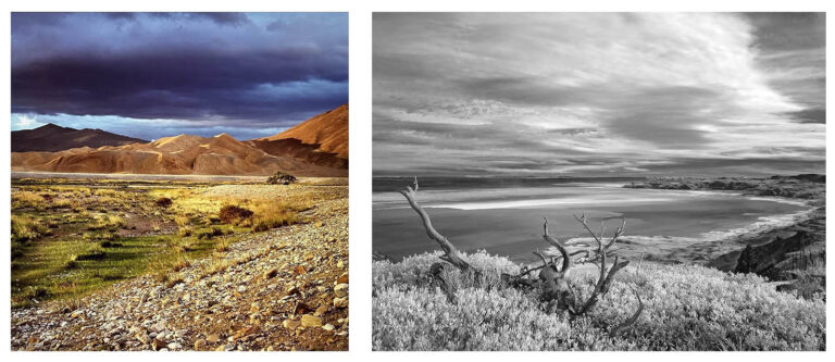 Read more about the article Rich shows desert landscapes in Eugene