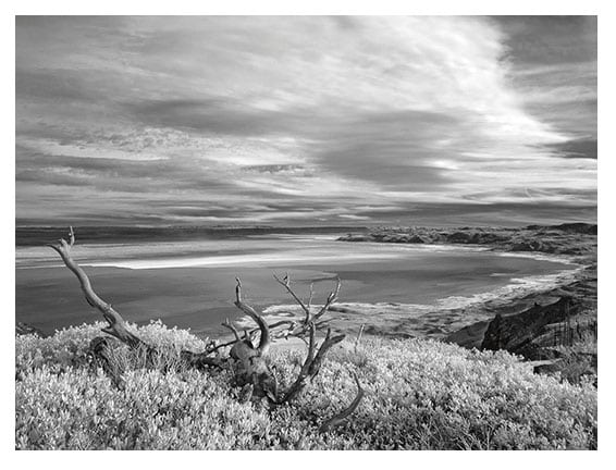 Read more about the article Rich’s ‘Paleo Lakes’ in Roseburg gallery