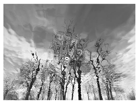 Read more about the article PAG members in Abstract Show