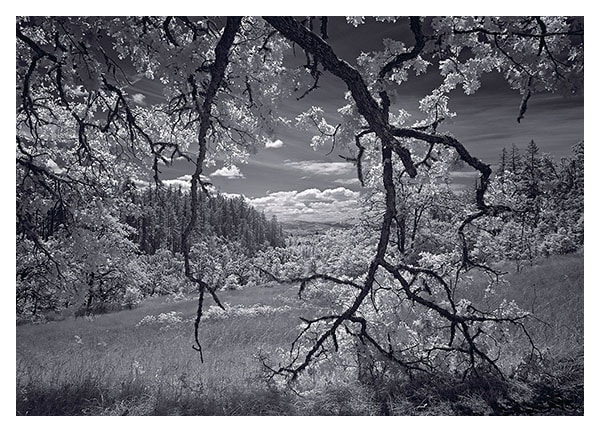 Read more about the article Rich’s ‘Homelands’ at Maude Kerns in Eugene