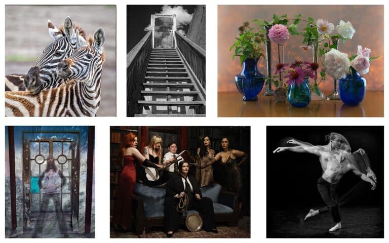 Read more about the article Six guild members in PhotoZone Juried Show