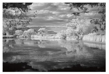 O’Brien Gallery hosts Rich’s IR show