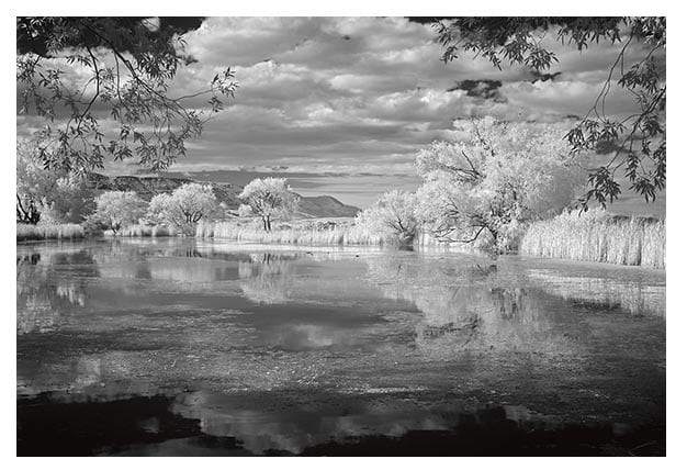 Read more about the article O’Brien Gallery hosts Rich’s IR show