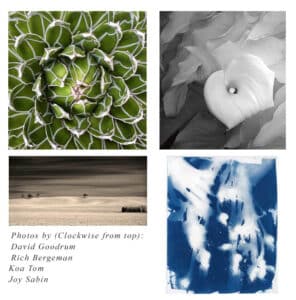 Four PAGers in SpecTACular art auction